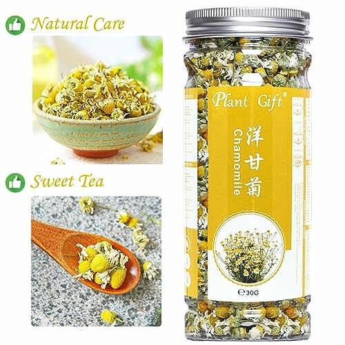 Plant Gift Kamille Thee
